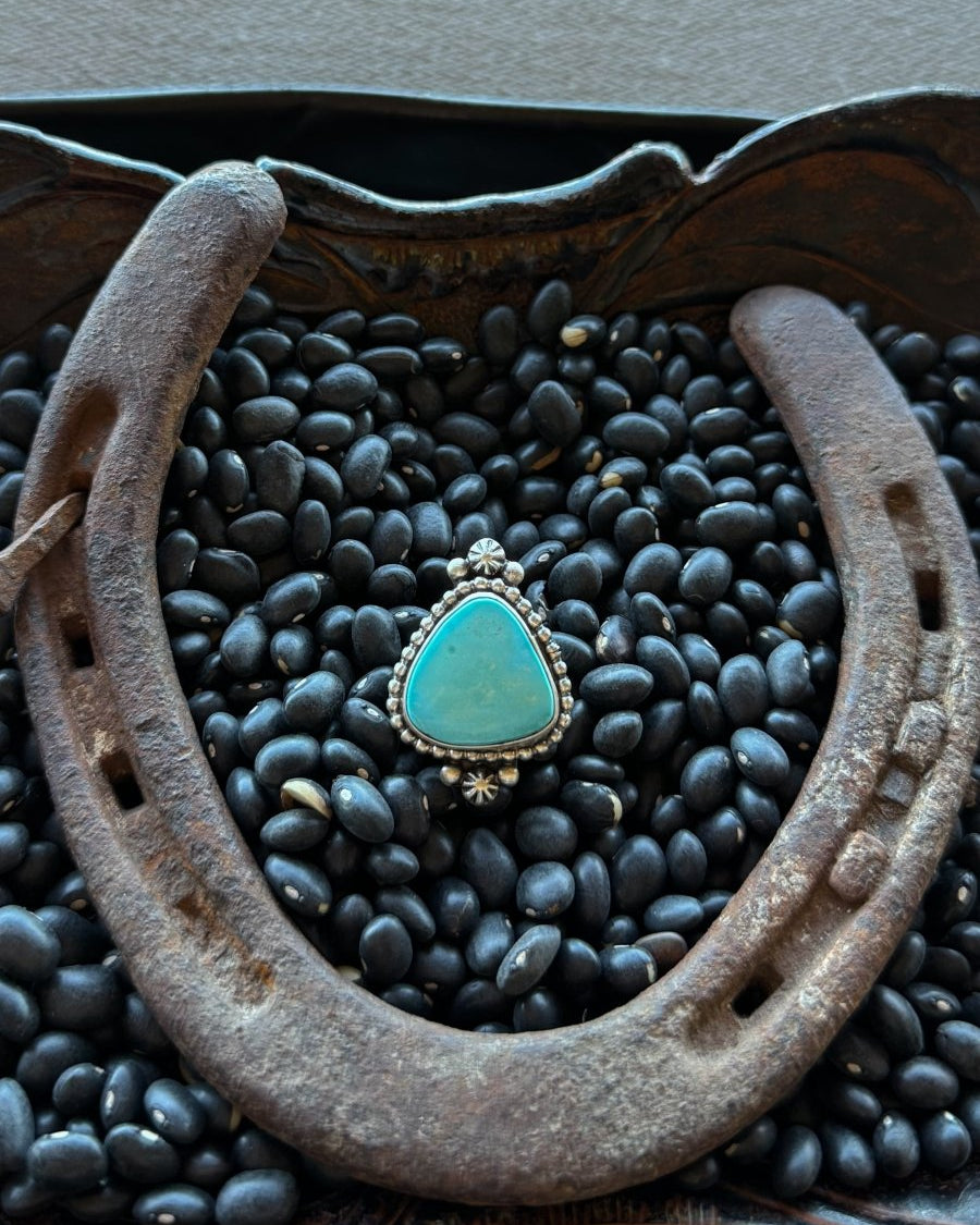 Am I Blue Turquoise Ring - Horseshoe J & Co.