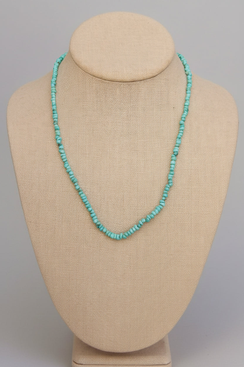 Jig Is Up Turquoise Necklace - Wooten's