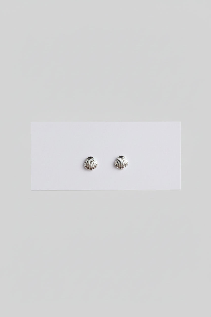 Sea Shell Stud Earrings - Wooten & Co.