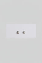 Sea Shell Stud Earrings - Wooten & Co.